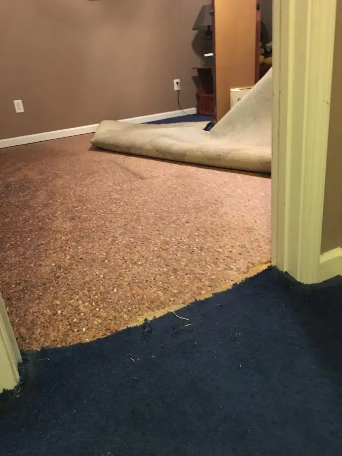 Carpet pad removal revealing water damage during Drying & Dehumidification in Iroquois Point