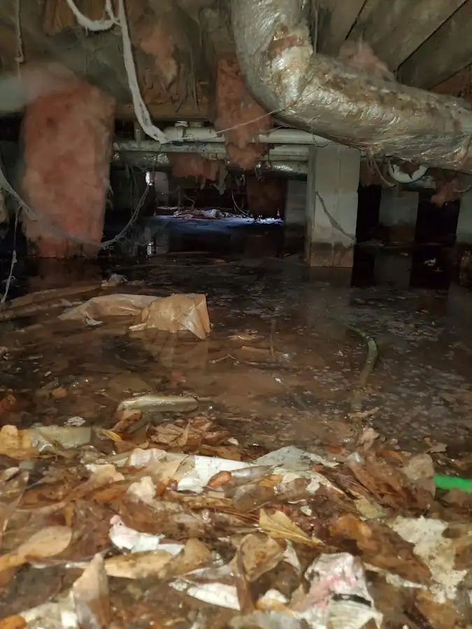 Crawl space flood assessment for Commercial Water Damage Restoration in Iroquois Point