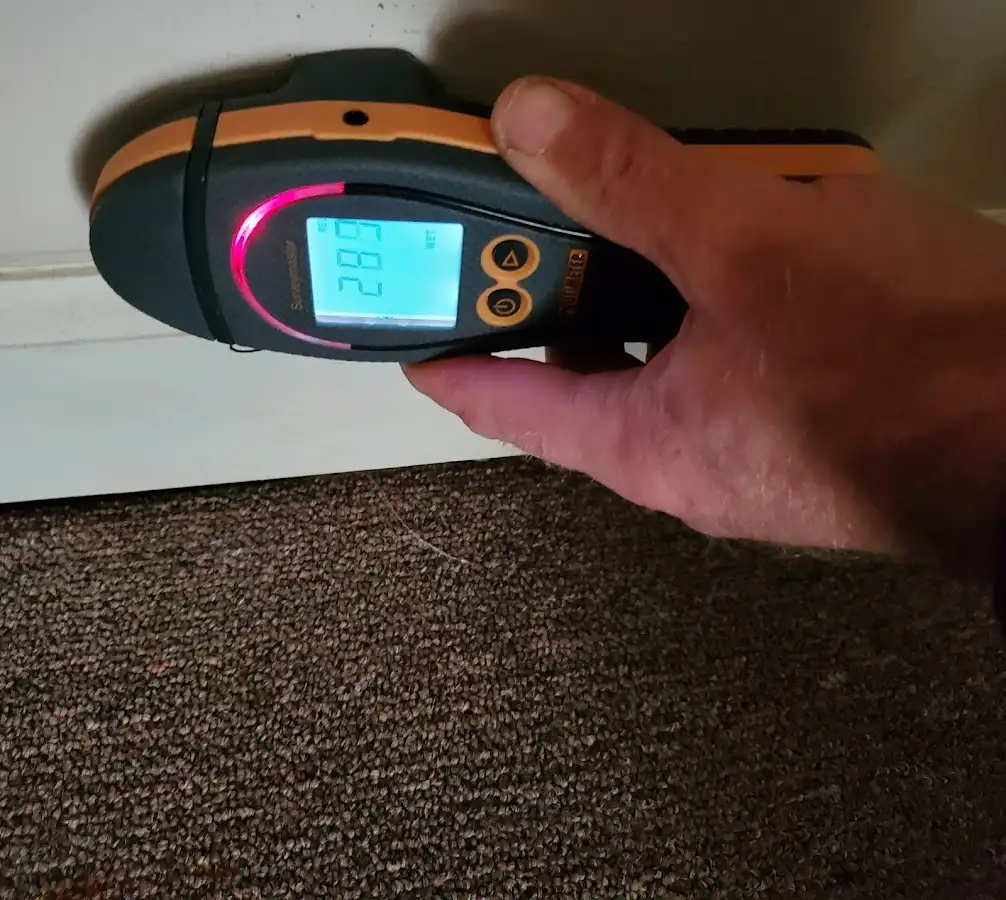 Moisture detection at baseboard during Sewage Cleanup & Sanitation in Iroquois Point